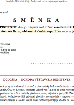 Náhled: Vlastní směnka v amerických dolarech — vyplněný vzor