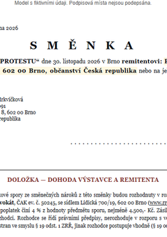 Náhled: Vlastní směnka v eurech — vyplněný vzor